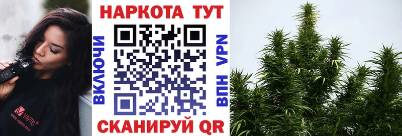 Продажа наркотиков Хабаровск Cocaine  А ПВП  Галлюциногенные грибы  АМФ  ГАШ  МАРИХУАНА 