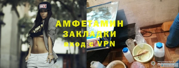 индика Бронницы