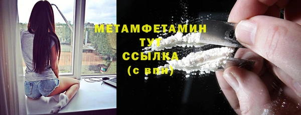 индика Бронницы