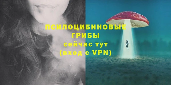 стафф Бородино