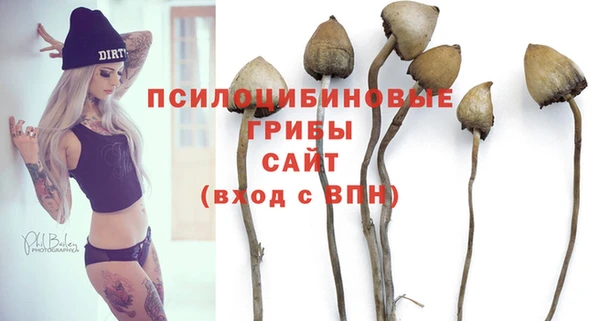 стафф Бородино