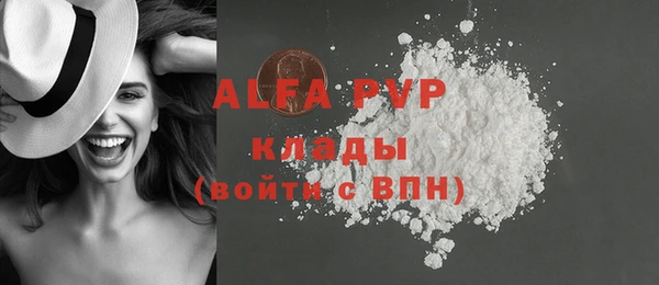 индика Бронницы