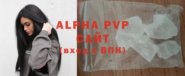 индика Бронницы