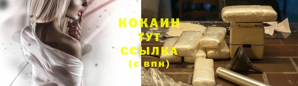 индика Бронницы
