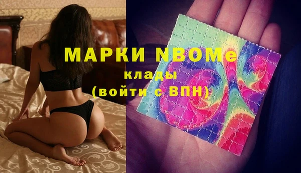 стафф Бородино