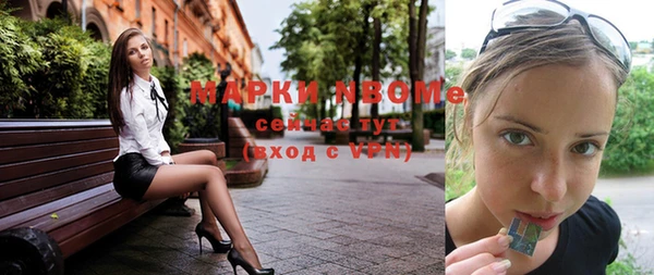 индика Бронницы