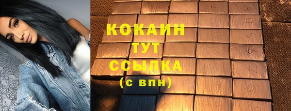 индика Бронницы