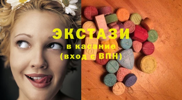 индика Бронницы