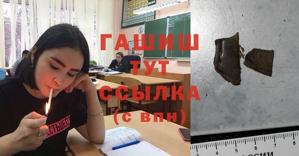 индика Бронницы