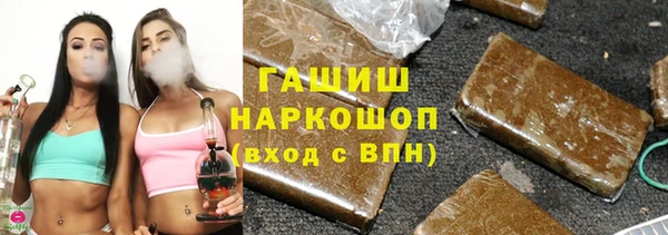 стафф Бородино