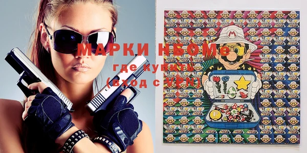 индика Бронницы