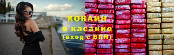 стафф Бородино