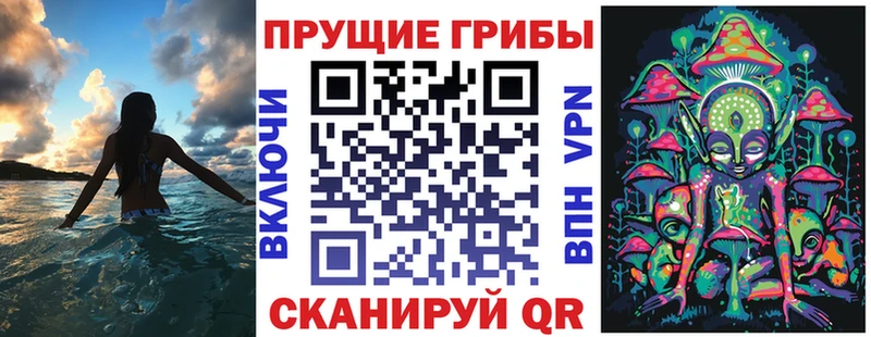 Псилоцибиновые грибы прущие грибы  даркнет сайт  Хабаровск 